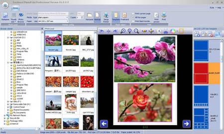 Easyboost Photo Print Windows 11 download