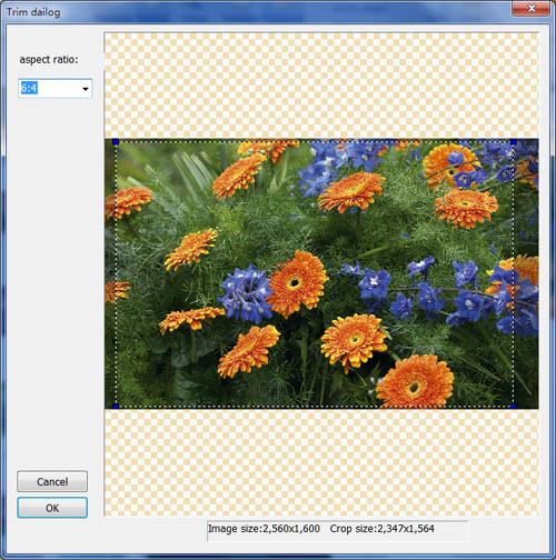 Easyboost Photo Printprint your digital photos